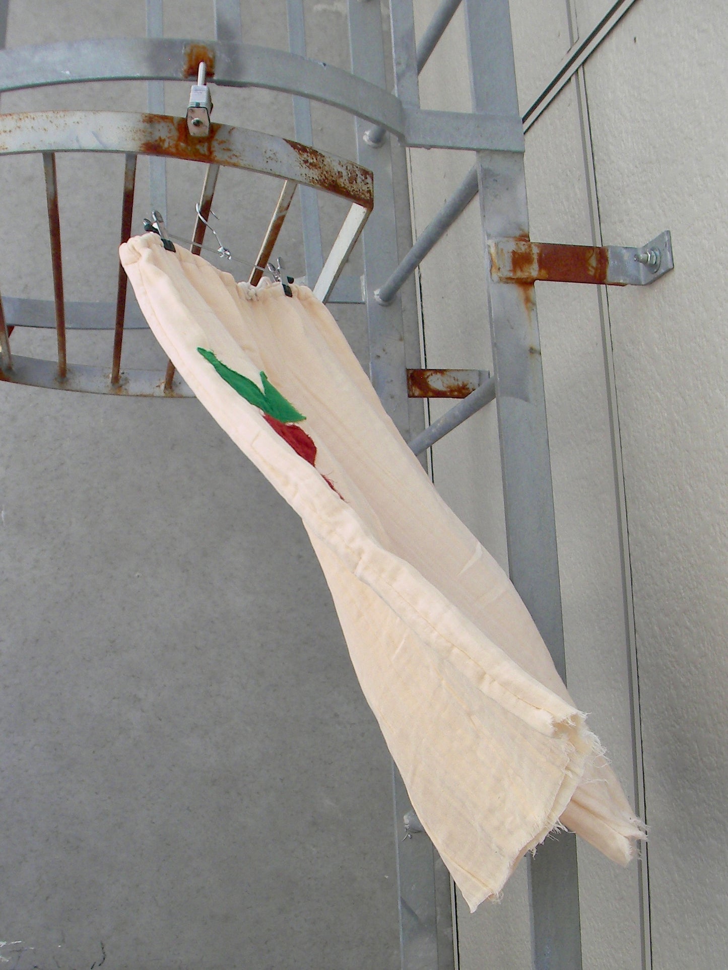 RockinRadish image 3