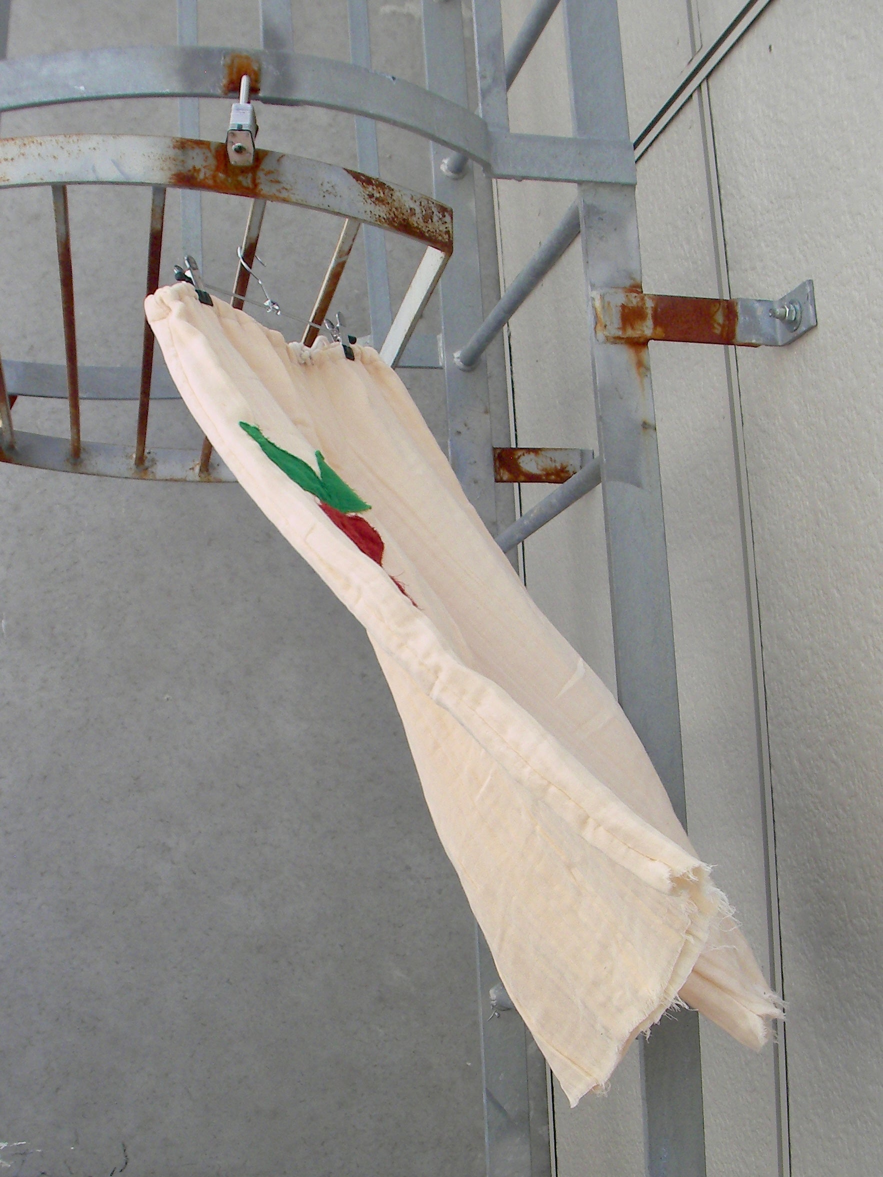 RockinRadish image 3